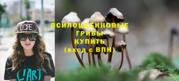 первитин Михайлов
