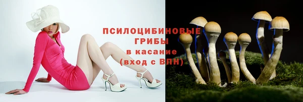 кокс Михайловка