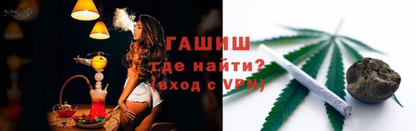гашик Билибино